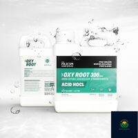 อ๊อกซี่ รูท (OXY ROOT) | HOCL 300 PPM 1000ml. | KING WHALE