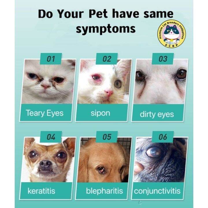 Magic Drops for Eyes and nose cat dog Antibacterial Sipon