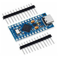 Pro Micro Micro-USB Development Module พร้อมหัวเข็ม2แถว ATmega32U4 5V16MHz Type-C ตัวควบคุมแรงดันไฟฟ้าสำหรับ Arduino IDE V1.0.1