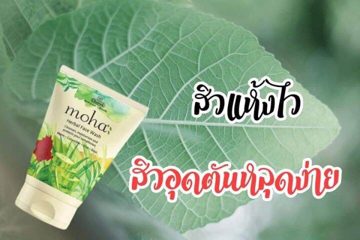 moha-herbal-face-wash-โฟมล้างหน้าโมฮา-ขนาด-200-ml-ราคาต่อ-1-ชิ้น