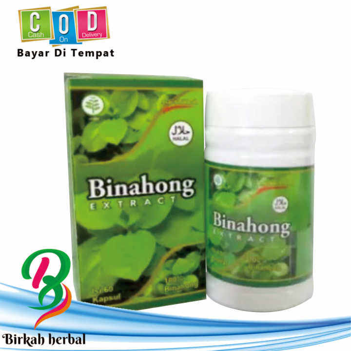 Herbal Ekstrak Kapsul Daun Binahong Ash Shihah Isi 60 Kapsul Lazada