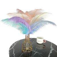 10Pcs/Lot Colorful Ostrich Feathers for Crafts Wedding Party Decoration Table Centerpieces Handicraft Accessories Carnival Pluma