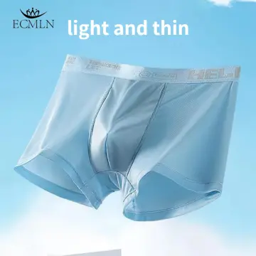 Underwear Men's Ice Silk Seamless Ultra-Thin Summer Breathable Briefs Boys'  Transparent Sexy Shorts Underpants - China Seamless Underwear and Women  Underwear price