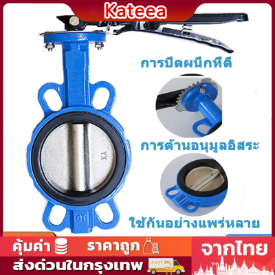 Butterfly Valve 4 นิ้ว DN100: วาล์วปีกผีเสื้อเหล็กหนาที่คุ้มค่า