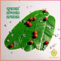 Thai Pioneers ใบตองเทียม ใบตองปลอม แผ่นรองจานถ่ายภาพ  ใบตองเทียมรองอาหาร green leaf decoration