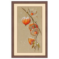 Top Quality Beautiful Lovely Counted Cross Stitch Kit Lantern Flower Red Flower Physalis Alkekengi Autumn Ground Cherry