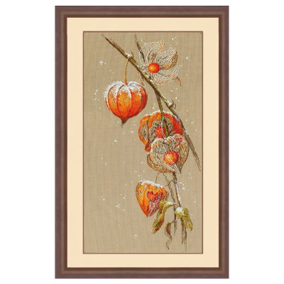 Top Quality Beautiful Lovely Counted Cross Stitch Kit Lantern Flower Red Flower Physalis Alkekengi Autumn Ground Cherry