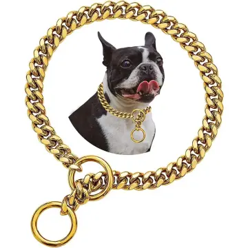 Gold dog hot sale choker chain