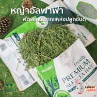 อัลฟาฟ่า ? Wildloft Premium Alfalfa ?