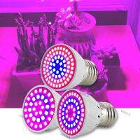 220V Plant Grow Light Lamps Indoor Greenhouse Cultivo Flower Red Blue Hydro Growbox Fitolampy 36/54/72 LED WB6TH