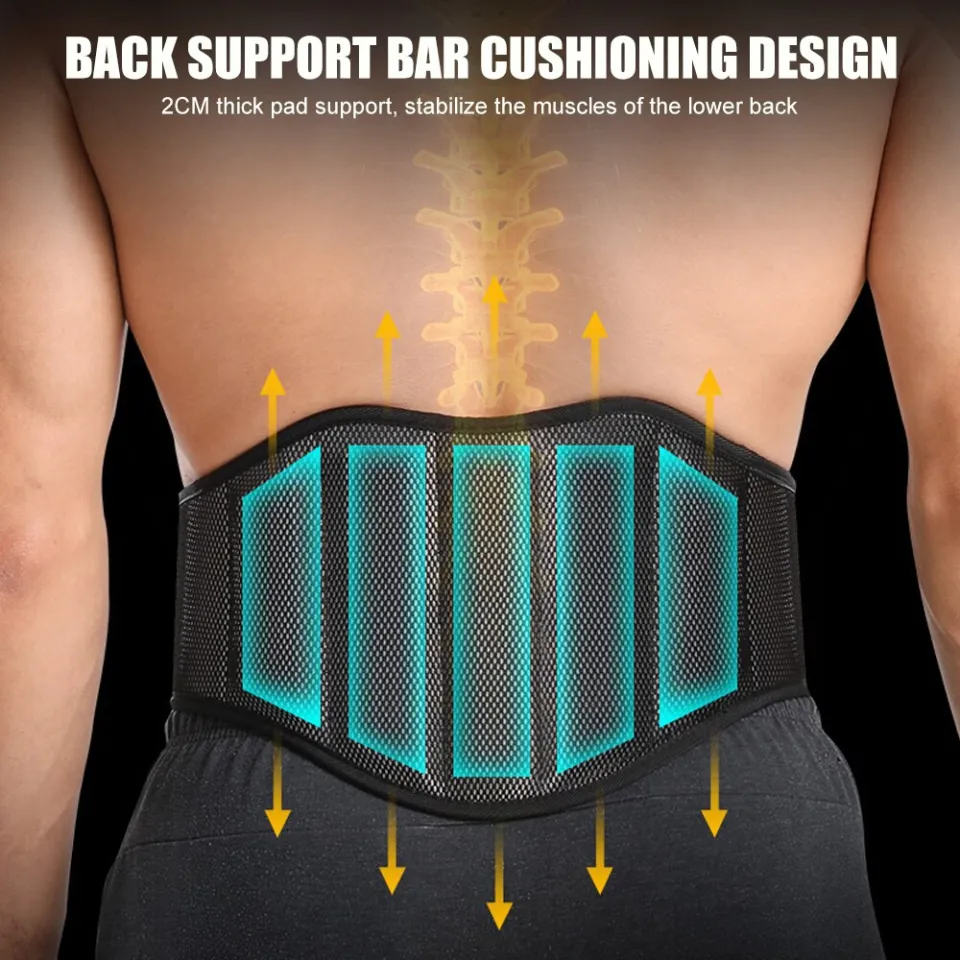 BraceTop Sport Back Support Lower Back Brace Provides Back Pain Relief Lumbar  Support Belt for Herniated Disc Sciatica Scoliosis