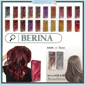 A1 Berina Black Colour Thai Professional Color Permanent Hair Style Dye  Cream