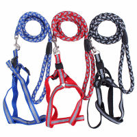 2022 New Dog Leash Harness Adjustable &amp; Durable Nylon ided Leash Set for SmallMedium Dog-2 Pack