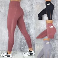 【YD】 Mesh Stitching Pants Moisture Wicking European   New Fashion Leggings