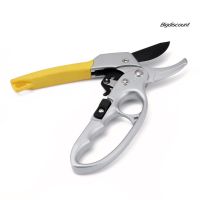 BigGarden Pruners Bonsai Fruit Tree Gardening s Pruning Shears Cutter Tool