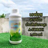 AFORCH เอฟอช สารจับใบคุณภาพสูง 1,000ml ช่วยลดแรงตึงผิวของน้ำ เพิ่มประสิทธิภาพการแทรกซึม ยึดเกาะใบ