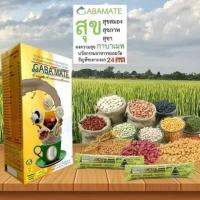 GABA MATE สูตร 3 ธัญพืชเพาะงอก 24 ชนิด 100% (กล่องใหญ่65ซอง) กาบาเมท มีสารอาหารครบ 5 หมู่ อาหารเสริม บํารุงสมองเพิ่มความจำ บำรุงสายตา ปรับสมดุลฮอร์โมน ช่วยเสริมสุขภาพผู้สูงอายุ