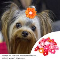 Cat Hair Bows High Quality Pet Hair Bows Dog Hair Bow Soft 30PCS Cute for Pets Small Dog