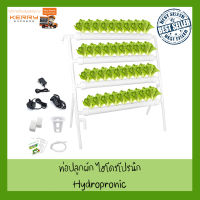 ชุดคิท Hydroponic NFT 36 Holes Growing System with Special Fertilizer Timing Cycle, PVC Pipe Garden Plant Kit ไฮโดรโปรนิ