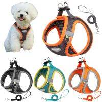 【FCL】✿✽⊕ Harness Leash Set Breathable Chest for Small Dog Outdoor Walking Supplies Chihuahua TeddyHarness