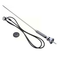 【CC】 Car Antenna Roof Booster Radio Extended Decoration Tv Ant W7E2