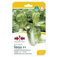 ผักกาดขาวปลี F1 โชกุน ศรแดงCHINESE CABBAGE SEED EAST-WEST SEED SHOGUN F1 **หมดแล้วหมดเลย**