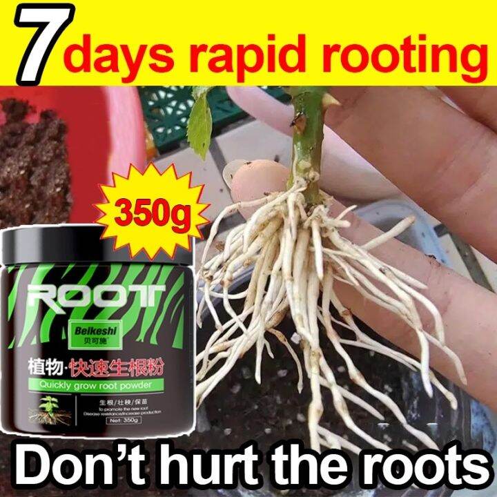 Plant Root Rooting 350g Hormone Powder rooting powder rapid growth No harm to plant roots 【COD