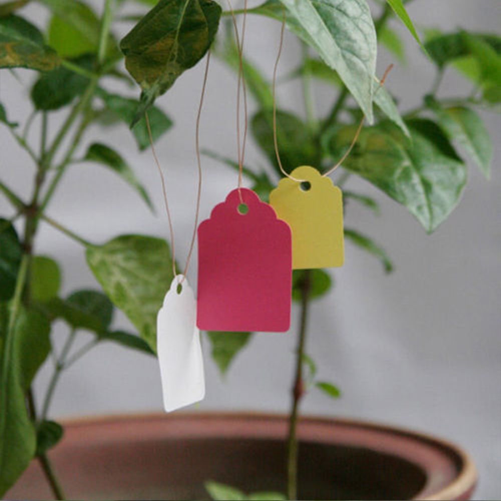 100pcs Sourcing Map Waterproof Hanging PlasticTags Gardening Plant Labels 