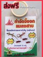 มาแรงด้านกำจัดแมลง ครีมกำจัดจิ้งจก ตุ๊กแกและแมลงสาป ตราบ้านไทย 1 กระบุก 10 ml  แค่ป้ายไว้ใกล้หลอดไฟในเวลาจิ้งจกหากินใกล้ค่ำหรือค่ำ