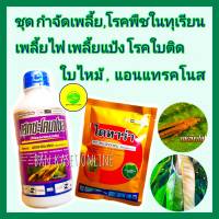 ชุด กำจัดเพลี้ยในทุเรียน  กำจัดโรคพืชในทุเรียน ยาทุเรียน ไทอะทีทอกแซม 100กรัม+เฮกซะโคนาโซล 1ลิตร  เพลี้ยไฟ เพลี้ยแป้ง โรคใบติด เพลี้ยหอย