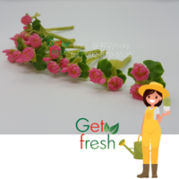 Get Fresh ดอกไม้ดินปั้น 10 ต้น ,ดอกไม้จิ๋ว ,ดอกบัว,  Miniature Clay Flower , Fake Flower ,  ขนาดวัดด้วยมือประมาณ 2.5 x 6 cm  เกรดสวยงานละเอียด