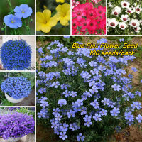 (100 Seeds Per Bag) Mixed Blue Flax Flower Seeds for Planting เมล็ดบอนสี เมล็ดดอกไม้ บอนสีสวยๆหายาก บอนสีหายากไทย บอลสีชนิดต่างๆ Others เมล็ดบอนสีสวยๆ Plants ดอกไม้ บอลสี ต้นไม้ฟอกอากาศ ไม้ประดับมงคล ไม้ประดับ แจกฟรี ปลาสวยงาม สี เมล็ดพันธุ์ผัก