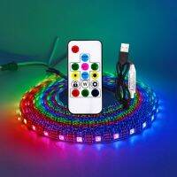 USB LED Strip RGB WS2812 WS2812B Addressable Pixel Tape 14Keys Remote Controller For TV Back Under Cabinet Lamp DC5V 1-5M