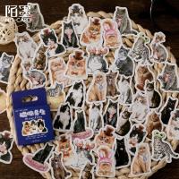 46 Pcs/pack Mr.Miao Cat Decorative Stickers For Card Making Envelope Seal Diary Scrapbooking Journal Laptop Stickers Labels