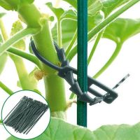 50/100pcs Adjustable Plastic Plant Cable Ties Reusable Cable Ties For Garden Tree Climbing Support Greenhouse Grow Kits