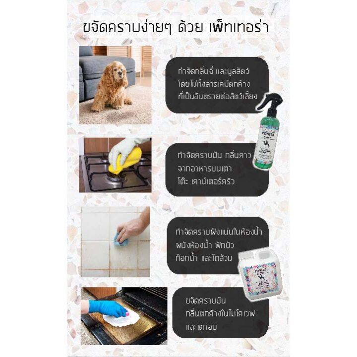 ส่งฟรี-สเปรย์ฆ่าเชื้อแบคทีเรีย-สเปรย์ดับกลิ่นฉี่-ปรับอากาศ-ดับกลิ่นฆ่าเชื้อบนพื้นผิว-ทรายแมวโซฟา-กรงสัตว์เลี้ยง-320-1000-มล