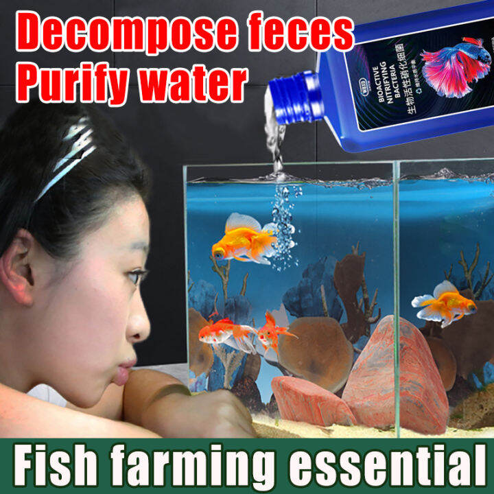 WBXD Aquarium Bacteria, Bioactive Nitrifying Liquid & Beneficial