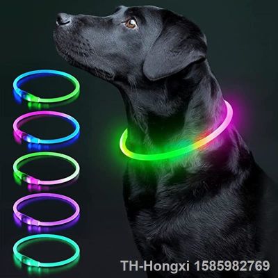 【hot】☜♙♘  Dog Collar Necklace Led Fashion Flashing Glowing Safety for Dogs Nighttime Accessorie