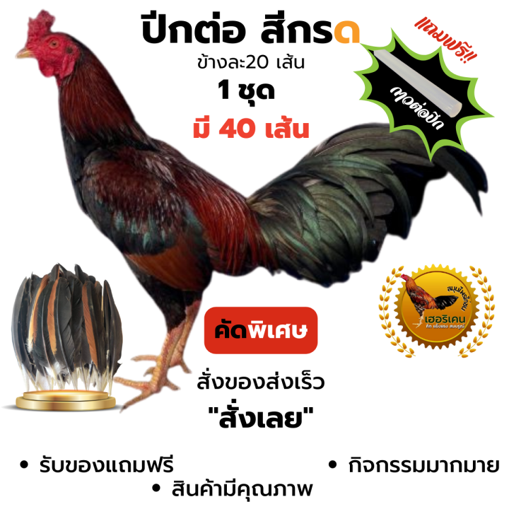 ปีกต่อไก่ชนไม่เปาะ-ปีกแข็งแรง-ปีกไก่ชน-1ชุดมี-40เส้น-ขาว-สา-ดู่-กรด-หม่น-ดอก-คัดพิเศษ-ทุกเส้น