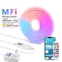 Apple iPhone Scan Homekit QR Code Connect WiFi RGB LED Neon Light Tape Siri Wireless Control LED Strip Neon Sign For Roon Decor