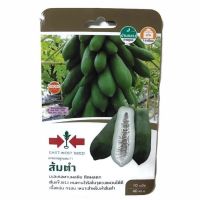 มะละกอ มะละกอส้มตำ ส้มตำ Non GMO ศรแดง 10เมล็ด papaya seed เมล็ดมะละกอ