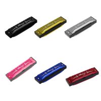 Professional 10-Hole Harmonica Printed C 20-Tone Mouth Organ Early Educational Musical Musical Toys for Student Kids