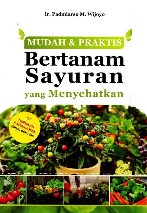 Timi: Lebih dari Sekedar Sayuran, Membesarkan citarasa dan Menyehatkan Rasa