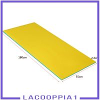 [LACOOPPIA1] 2-Layer foldable Pool Float Mat Durable Floating Pad Mattress Bed