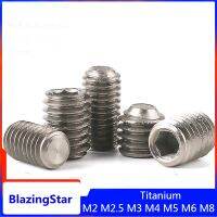 1 Buah M2 M2.5 M3 M4 M5 M6 M8 L 6Mm 8Mm 10Mm 15Mm 20Mm Set Soket Segi Enam Titanium Murni Sekrup Kayu Perangkat Keras Ti Furniture