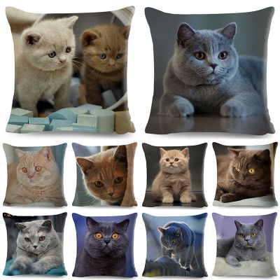 【CW】✙✷  45x45cm Fold Ear Covers  Pillowcase cat Polyester Car Sofa