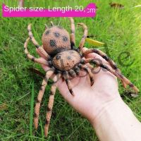 【hot sale】 ✇ B32 insect toy spider toy educational toys Simulation Small Animal Insect Model Big Head Play House Toy small toy collectibles ant toys animal toy Ant Cricket Spider Scorpion Ladybird Dragonfly