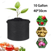 10 Gallon Fruit Plants Thicken Grow Bags Hand Held Home Garden Plant Growing Fabric Pot Vegetables Flower Garden Tools 17TH