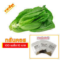 ?เมล็ดผักสลัด กรีนคอส 100 เมล็ด 10 บาท ?งอกดีมีคู่มือการปลูก (Green Cos) / ผักอินทรีย์ เมล็ดพันธุ์ สลัด เมล็ดผัก