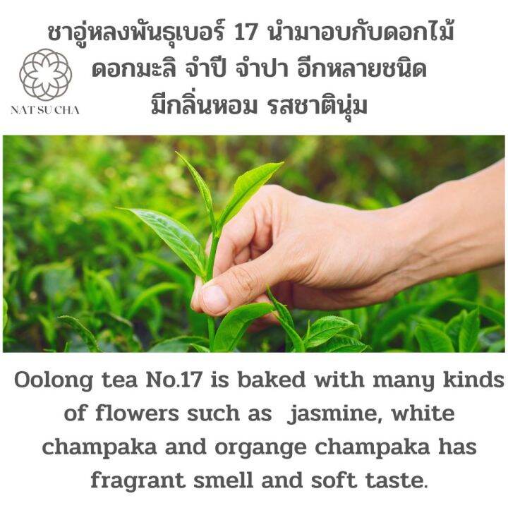 ชายอดน้ำค้าง-อู่หลงยอดน้ำค้าง-oolong-tea-ใบชาอย่างดีคัดเฉพาะใบอ่อน-รสนุ่ม-กลิ่นหอมอ่อนๆเหมือนดอกไม้